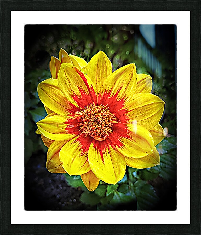 Very Pretty Picture Frame print