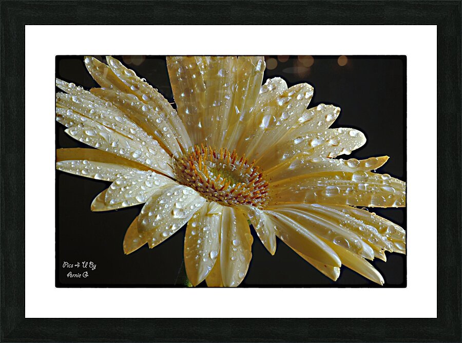 Morning Dew Picture Frame print