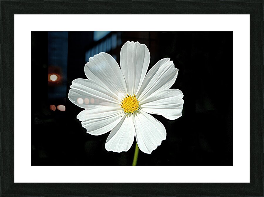 HAPPY FACE Picture Frame print