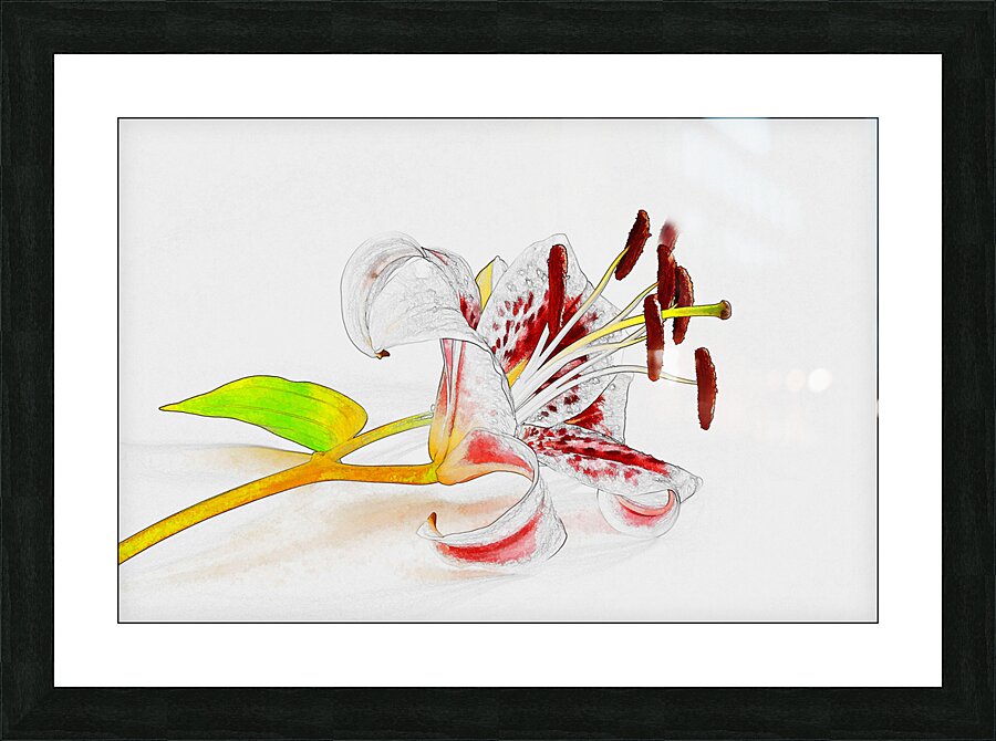 DELICATE Picture Frame print