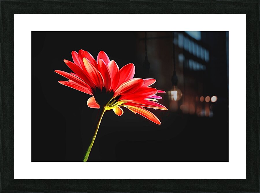 Reaching Picture Frame print