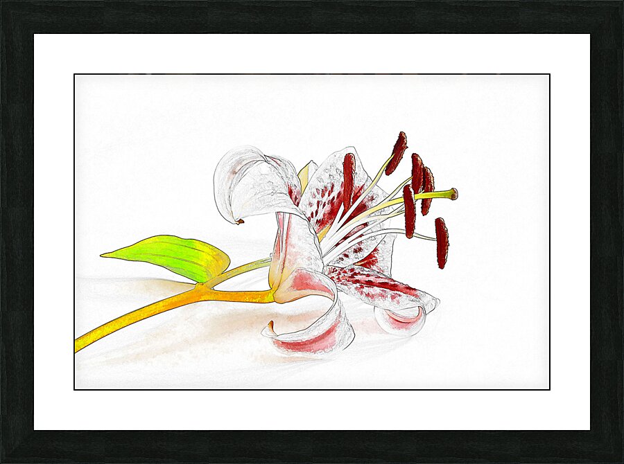 Delicate Picture Frame print