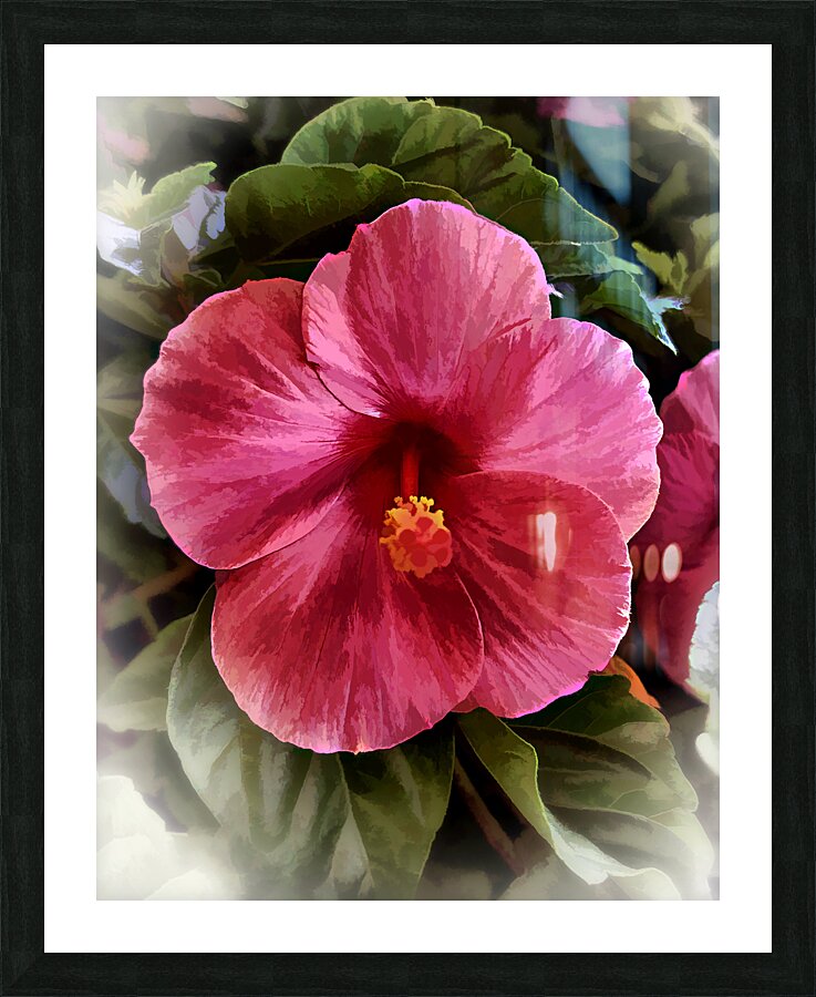 Pretty Picture Frame print