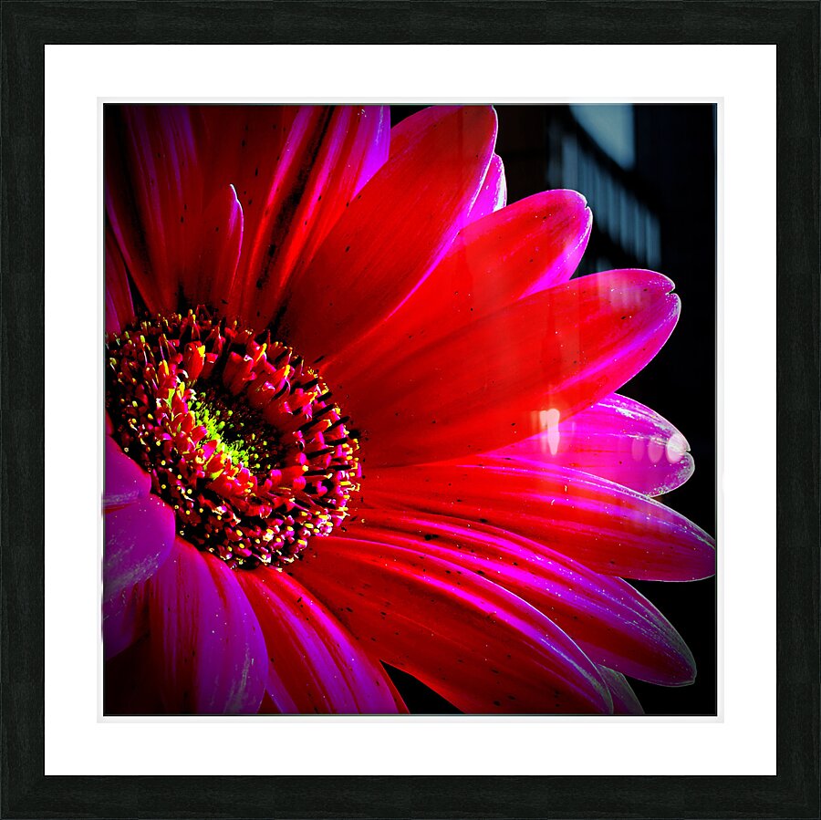 So Vibrant Picture Frame print