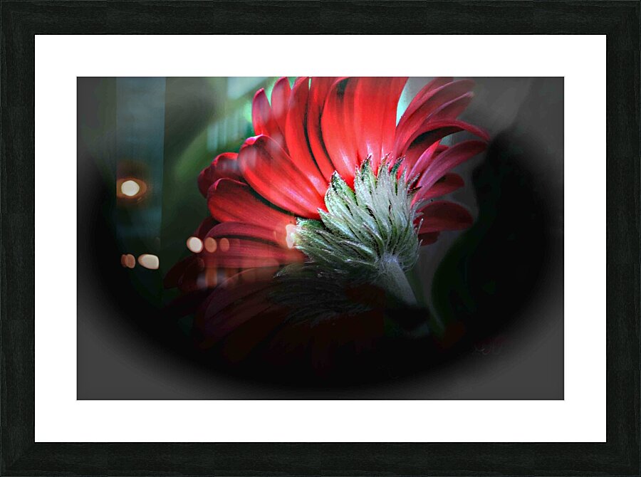 Don t Leave Picture Frame print
