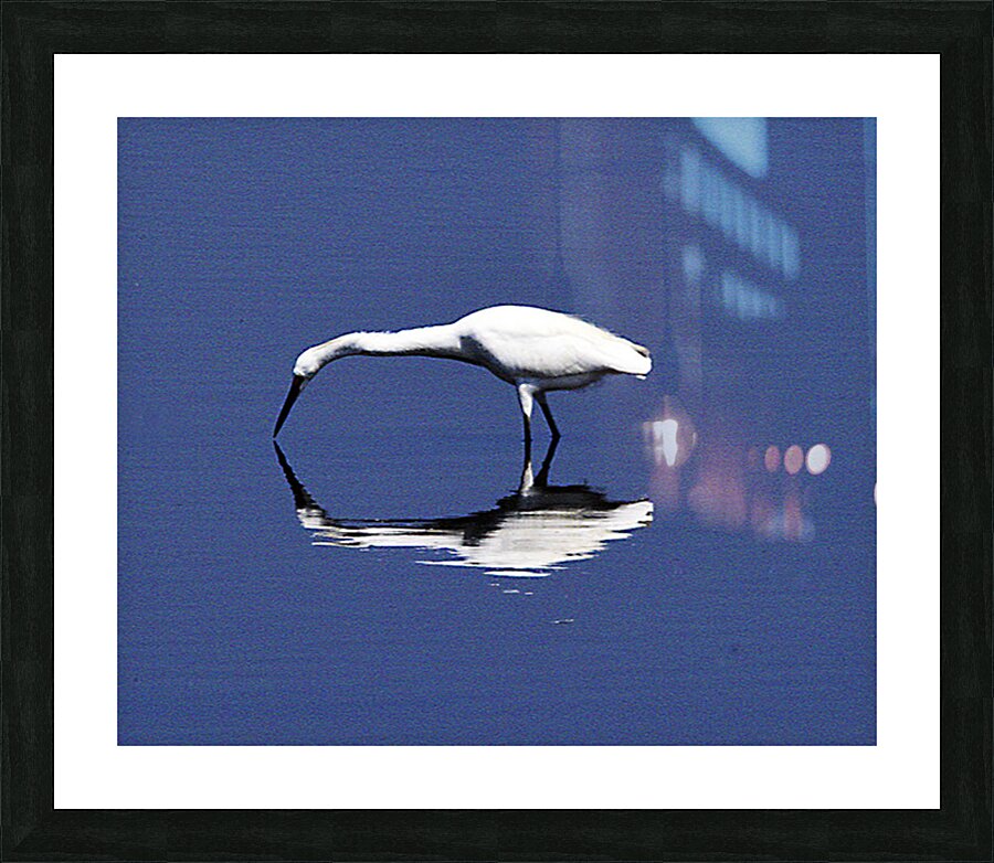 Reflection Picture Frame print