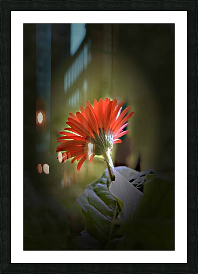 Reaching Out Picture Frame print