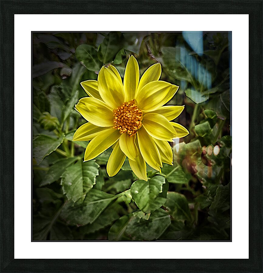 So Pretty Picture Frame print