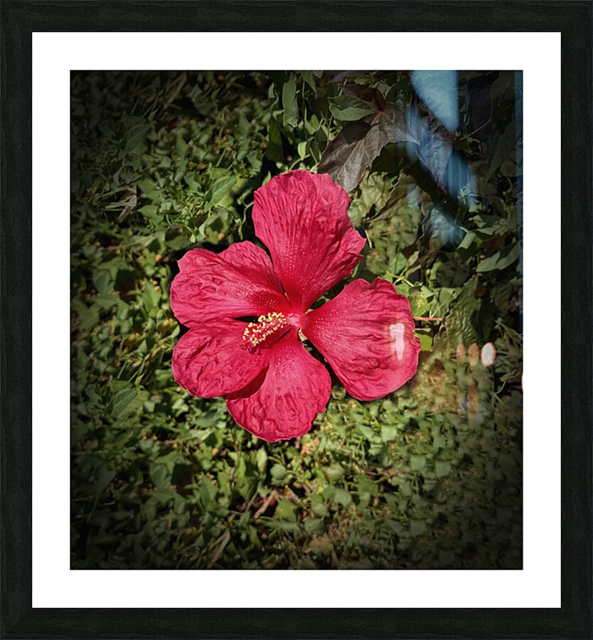 You re So Pretty Picture Frame print