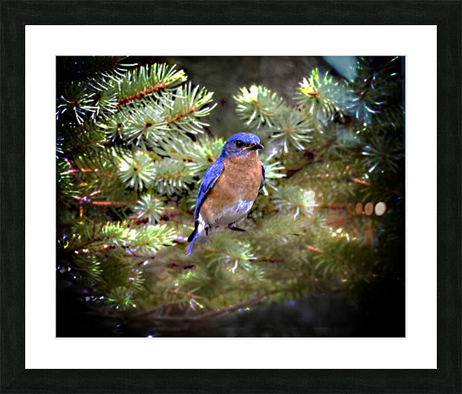 Looking At You Picture Frame print