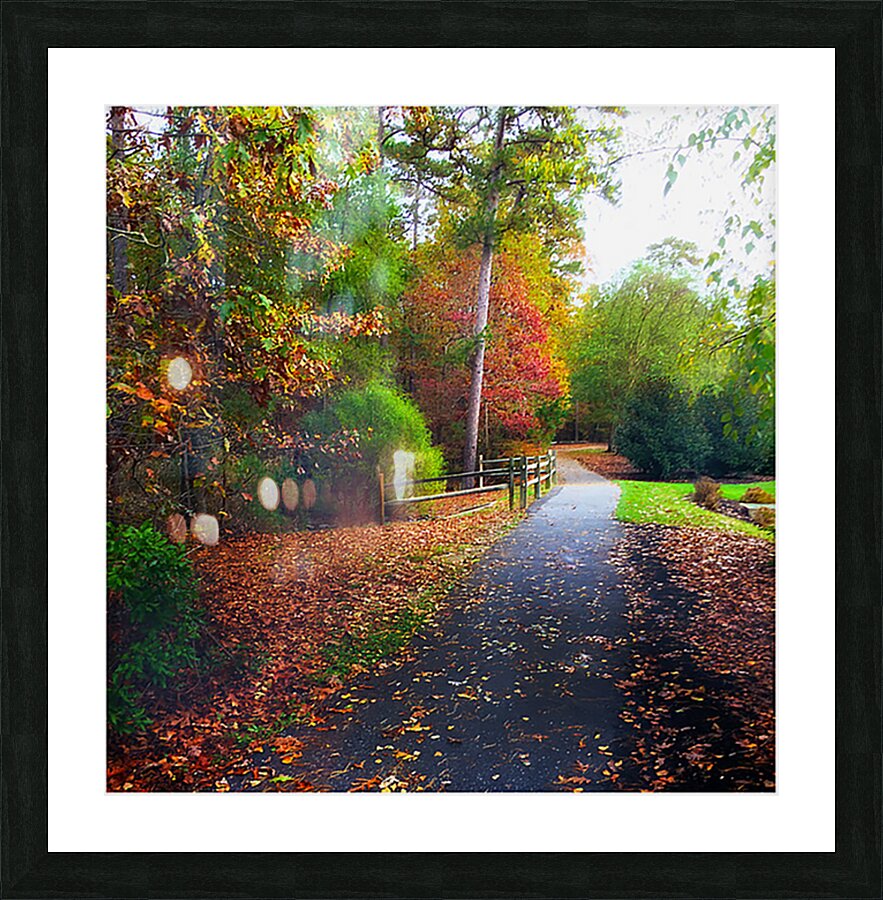 Lets Go For A Walk Picture Frame print