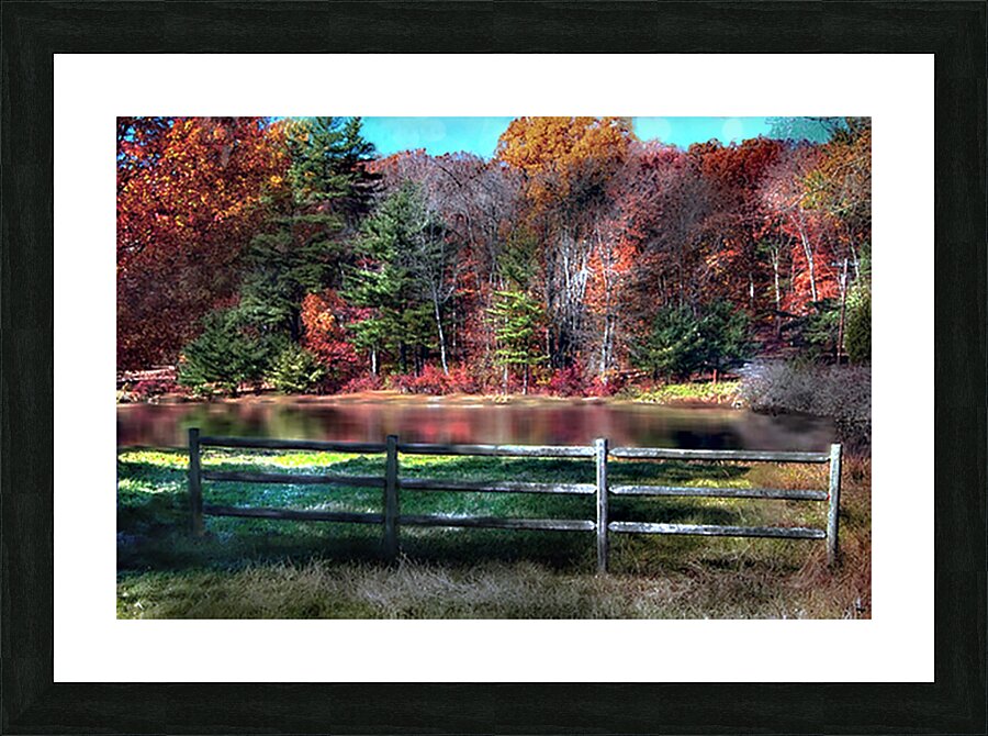 What A View Picture Frame print