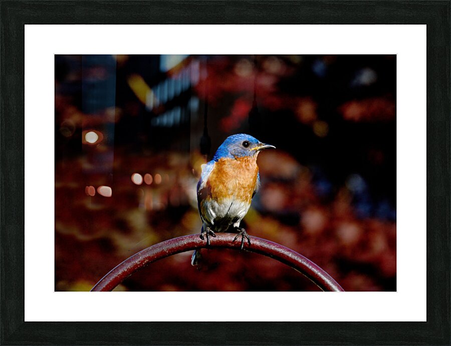 Hows This Side Picture Frame print