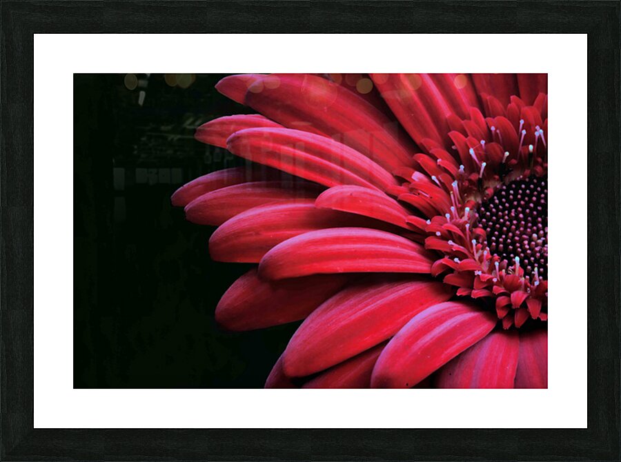 So Pretty Picture Frame print
