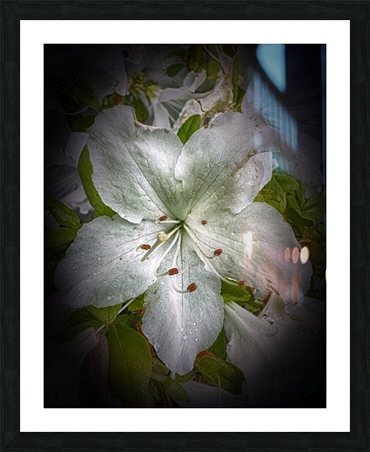 Waiting For You Picture Frame print