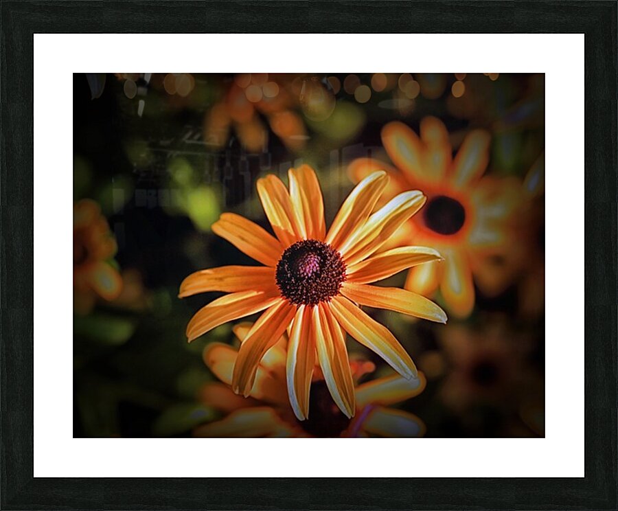 Above The Rest Picture Frame print