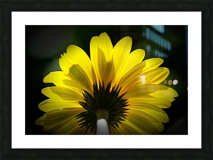 Pretty Gerber Picture Frame print