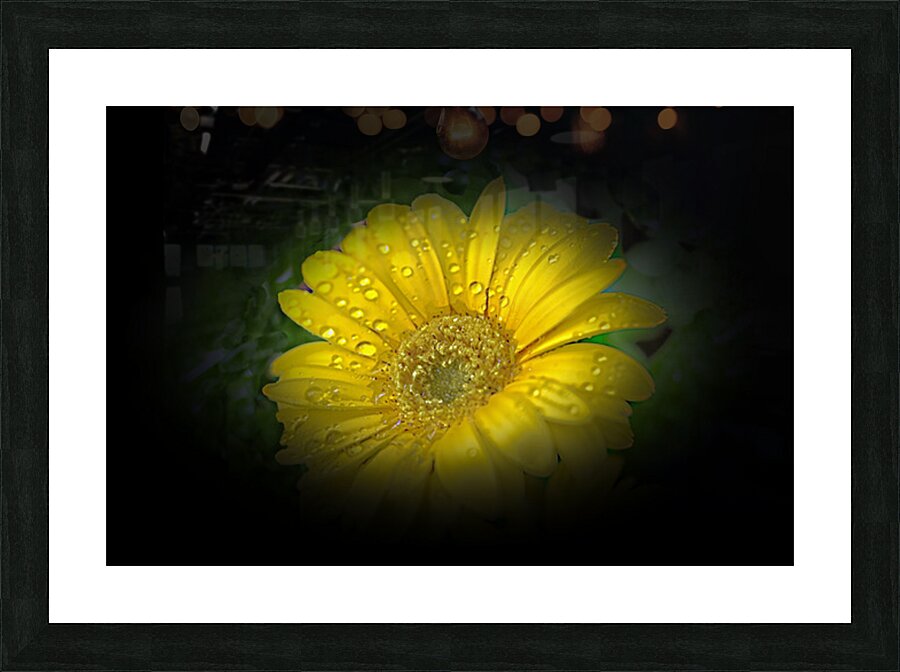 Something Special Picture Frame print