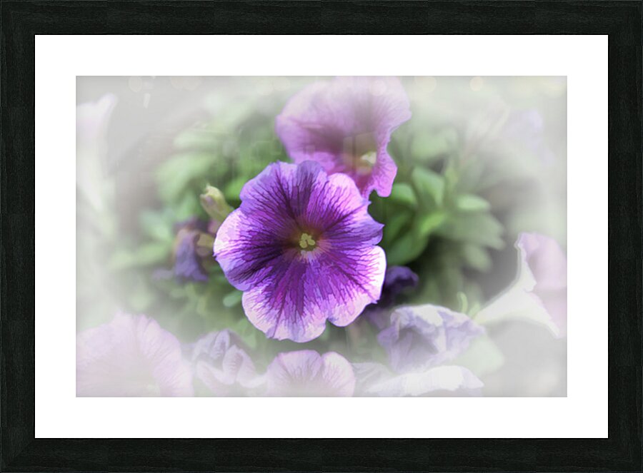 So Delicate Picture Frame print