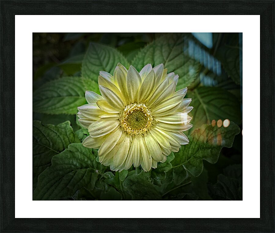 Bold Beautiful Picture Frame print