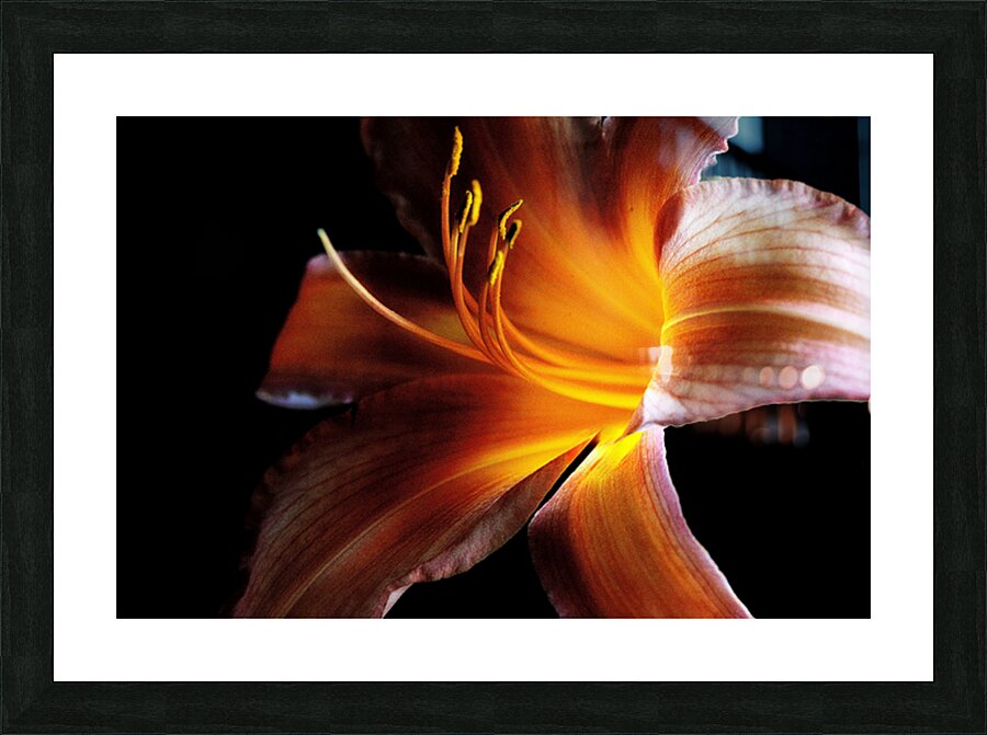 An Inner Glow Picture Frame print