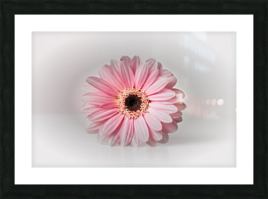 So Delicate Picture Frame print