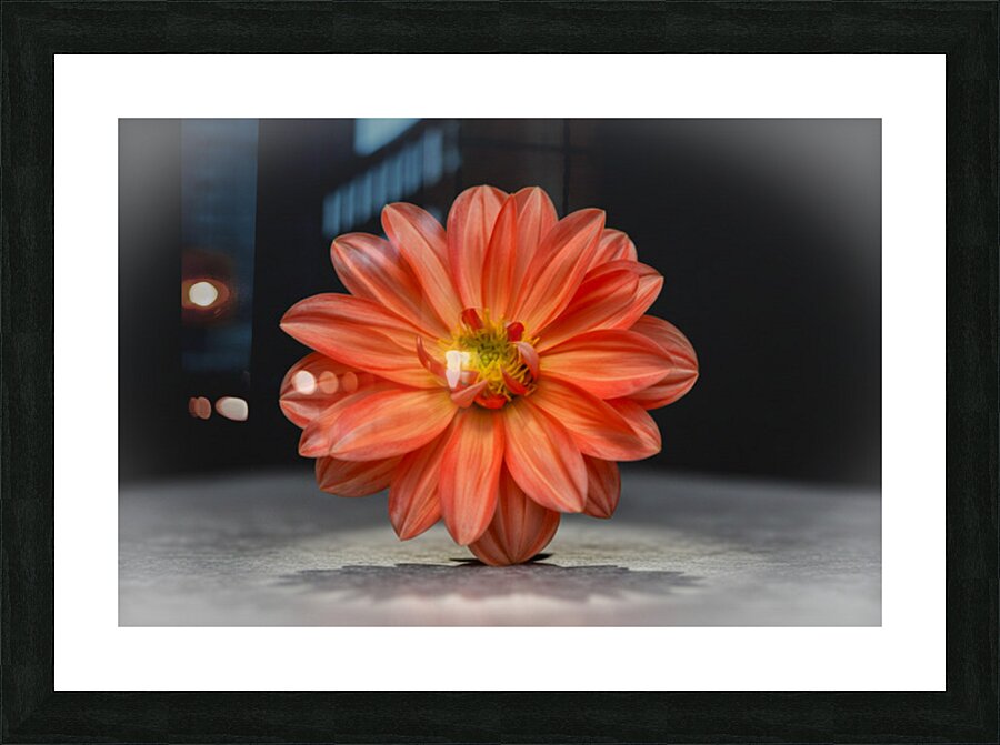 Bold Beautiful Picture Frame print