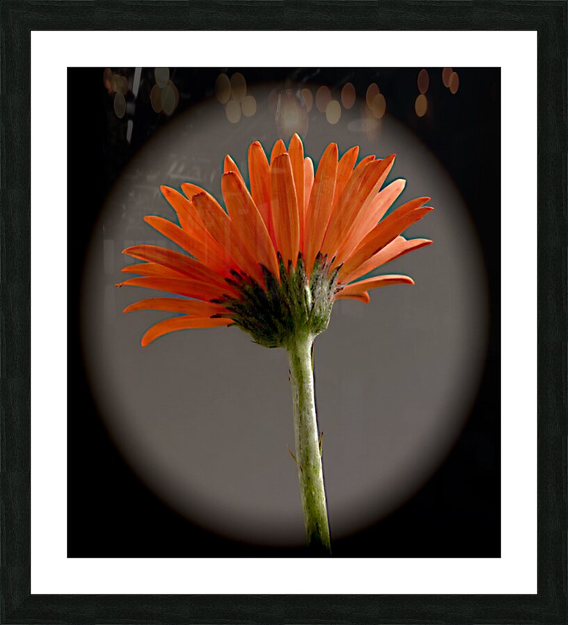 So Much Love Picture Frame print