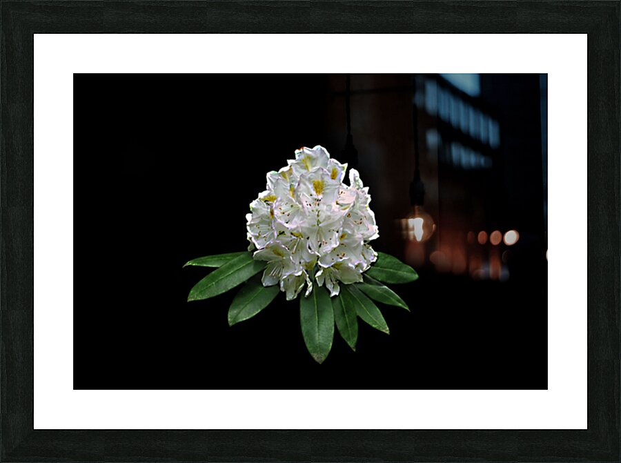 So Poofy Picture Frame print