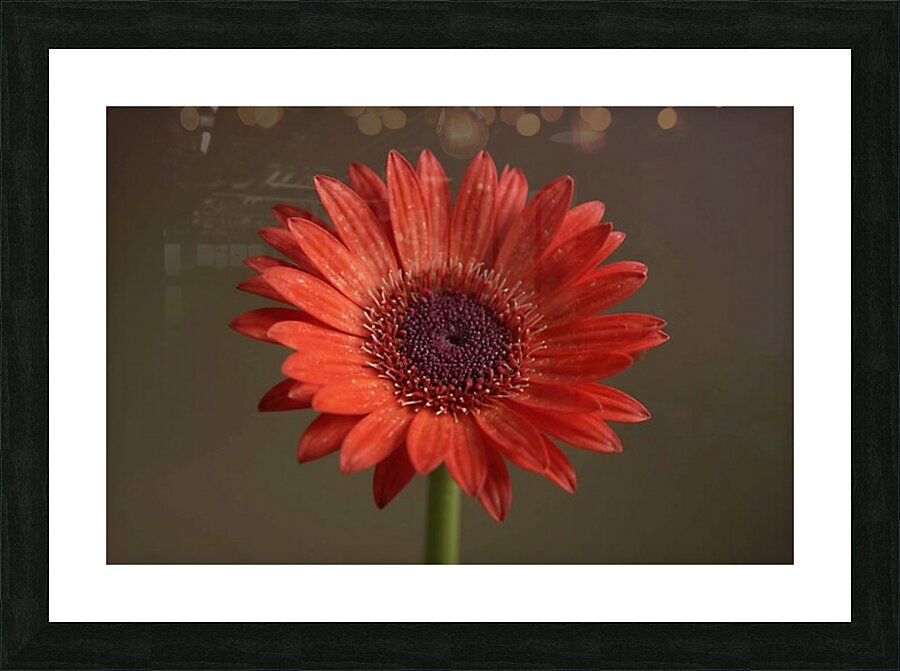 So Proud Picture Frame print