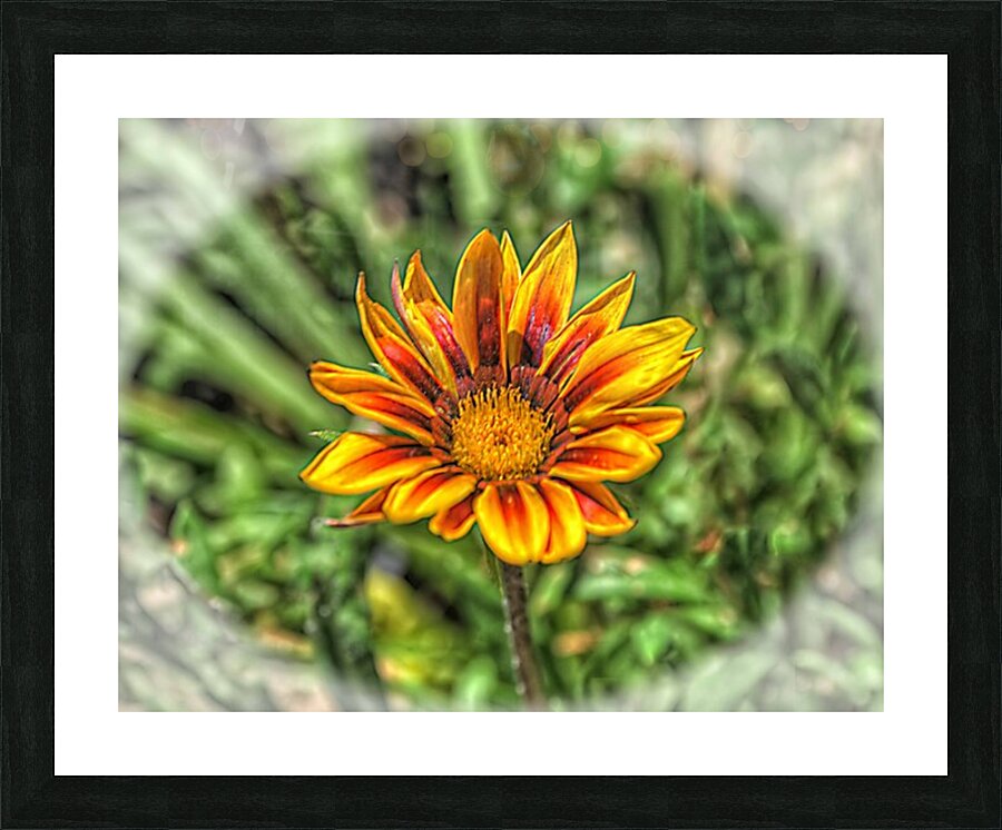 So Vibrant Picture Frame print