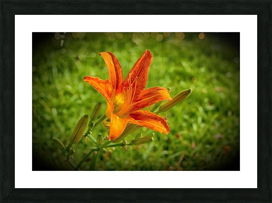 Reaching Out Picture Frame print