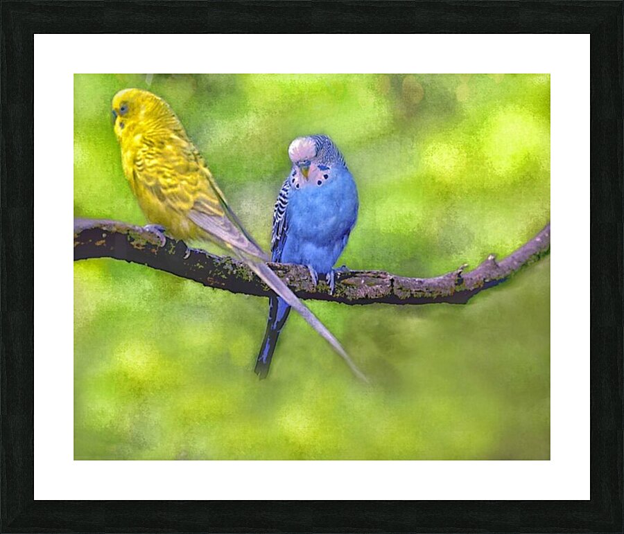 Nice Tail 2 Picture Frame print