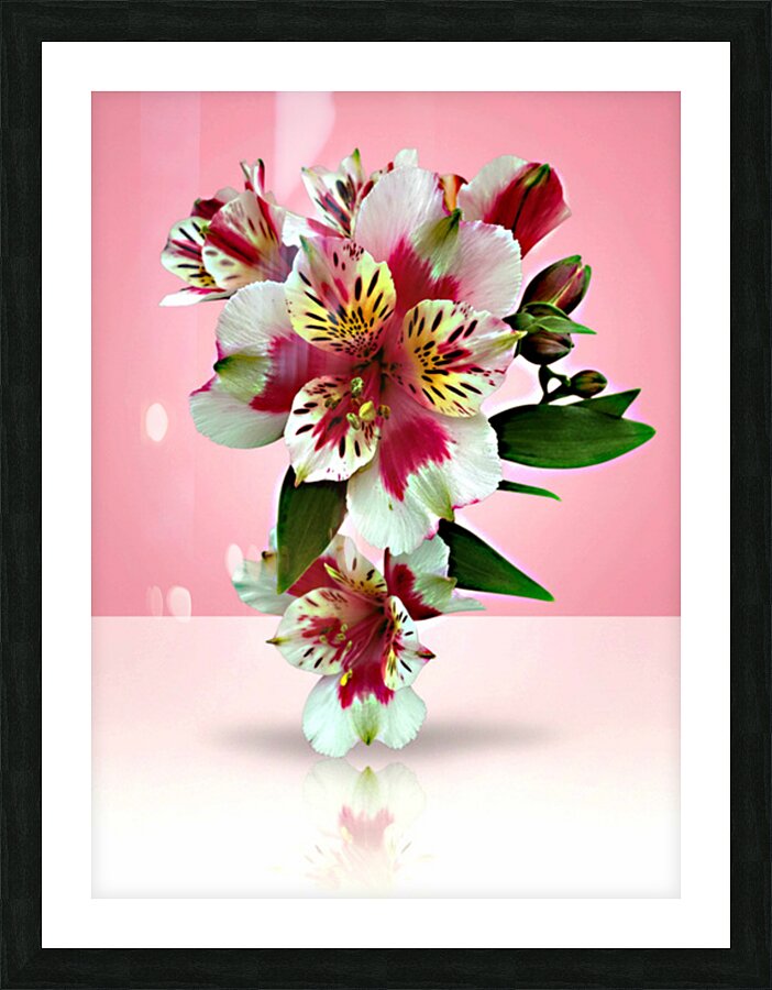 Very Pretty Picture Frame print