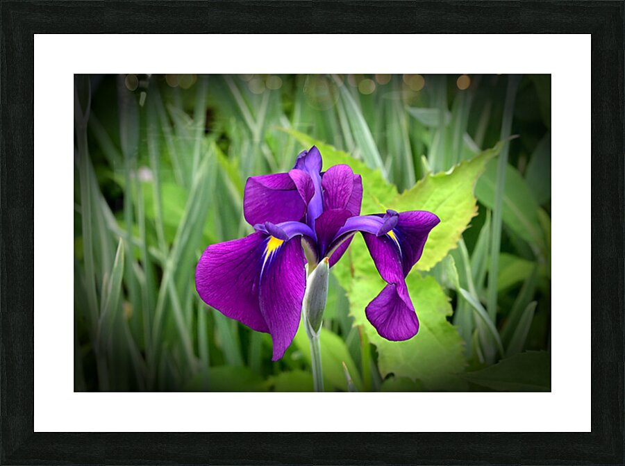 Droopy Picture Frame print