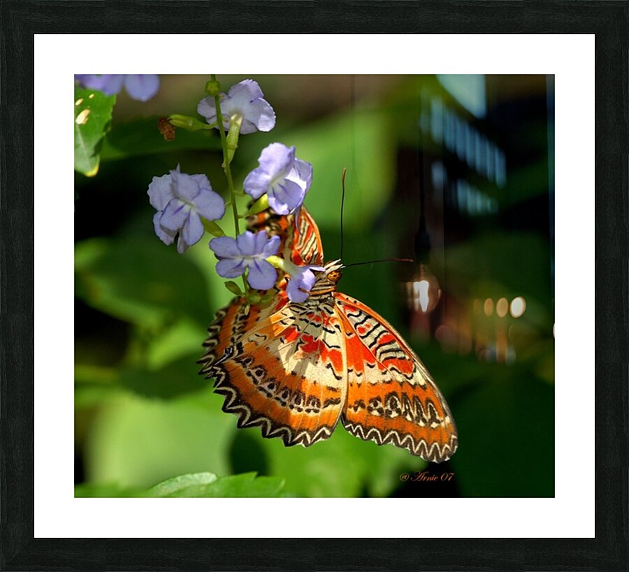 From Heaven Picture Frame print