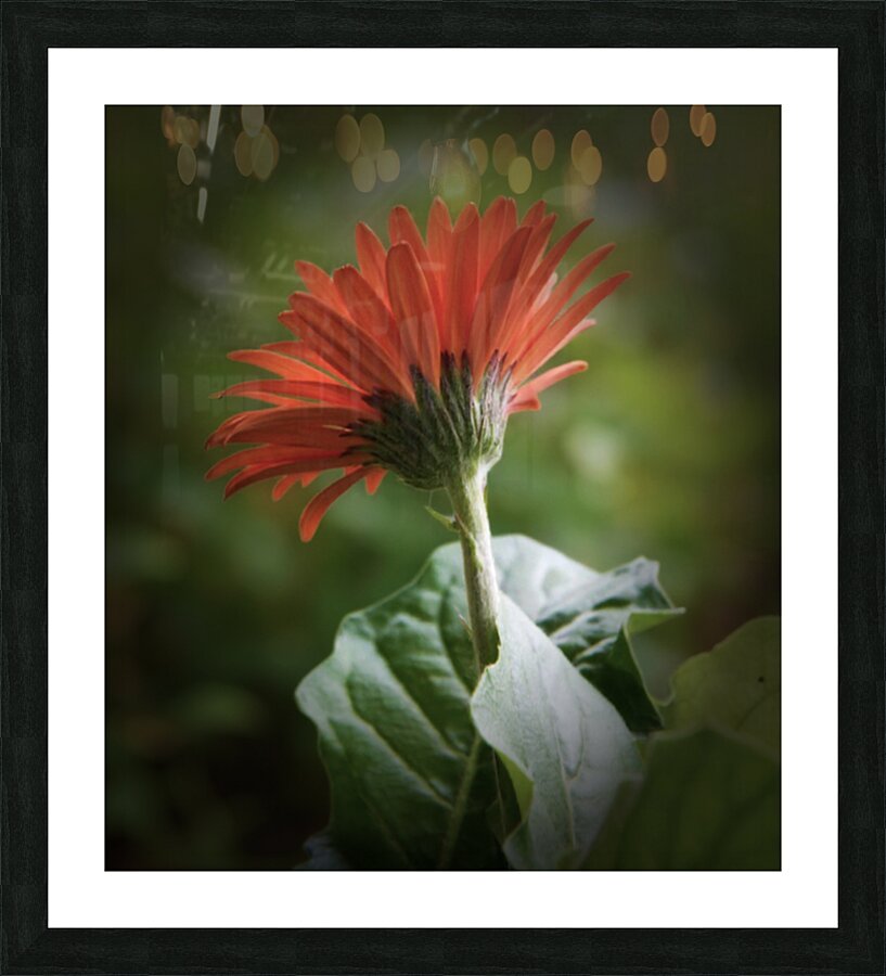 Reaching Out Picture Frame print