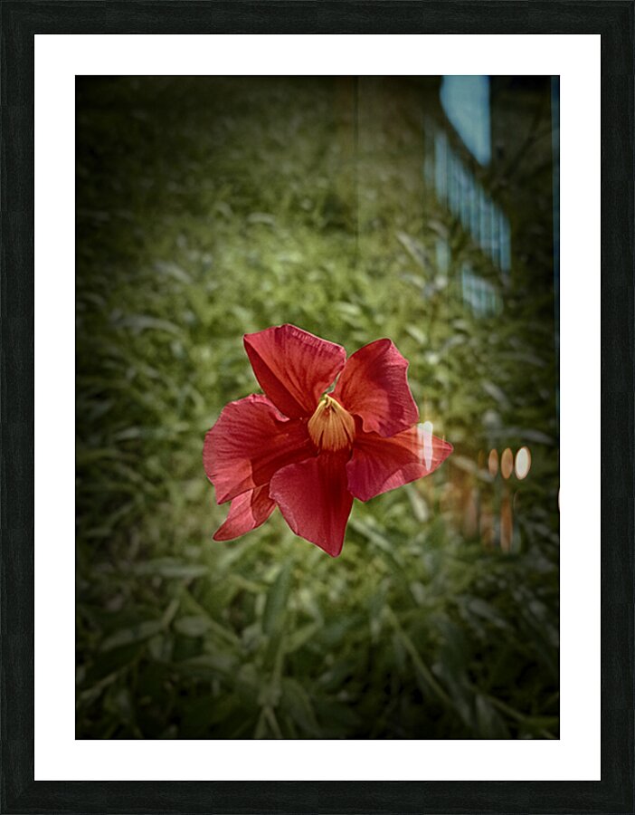 Pretty Picture Frame print