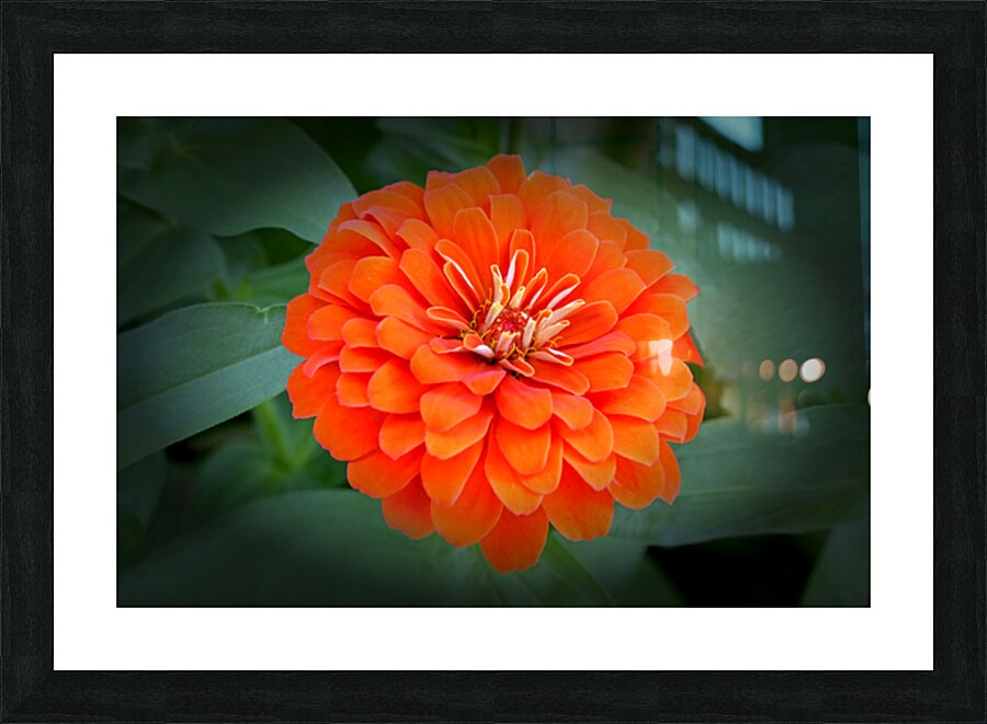 So Plush Picture Frame print