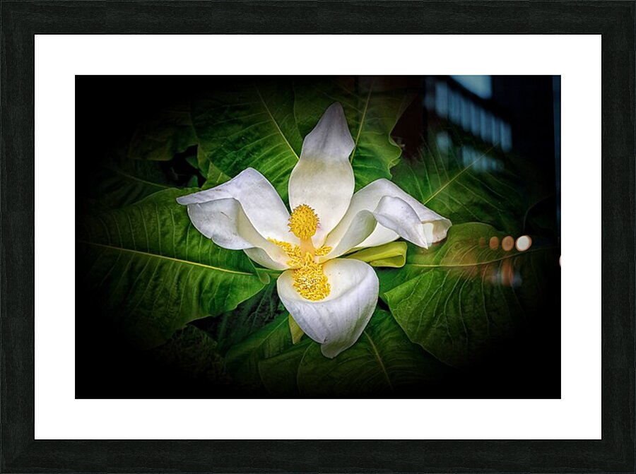 PLAIN and SIMPLE Picture Frame print
