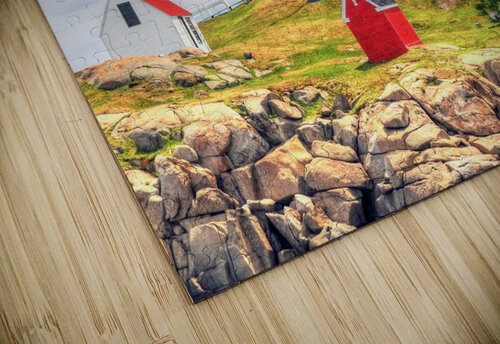 NUBBLE  LH Arnie Goldstein puzzle