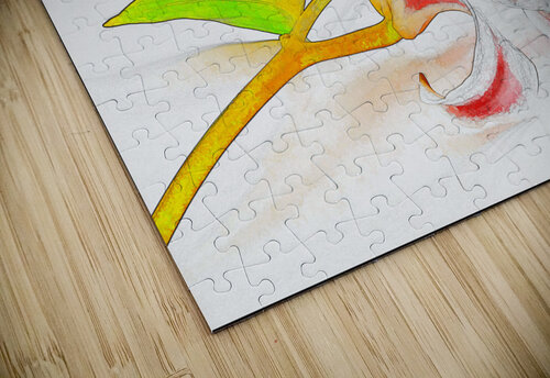 DELICATE Arnie Goldstein puzzle
