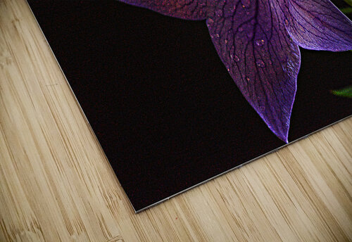 Purple Balloon Arnie Goldstein puzzle
