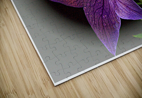Purple Rain Arnie Goldstein puzzle