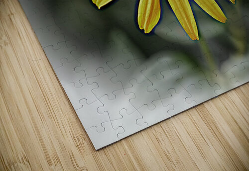 With Open Arms Arnie Goldstein puzzle