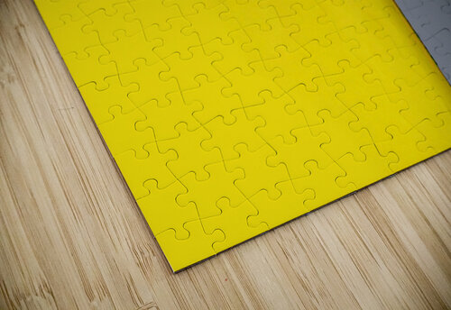 The Point Is Arnie Goldstein puzzle