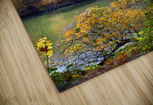 Crossing Over To Fall Arnie Goldstein puzzle