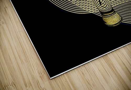 For The Ladies Arnie Goldstein puzzle
