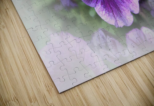 So Delicate Arnie Goldstein puzzle