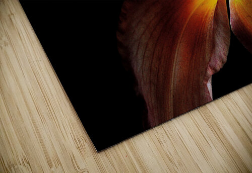An Inner Glow Arnie Goldstein puzzle